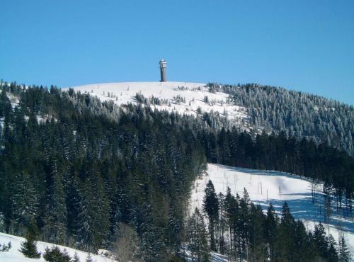 Ferien- Und Wellness Hotel Schwarzw�lder Hof