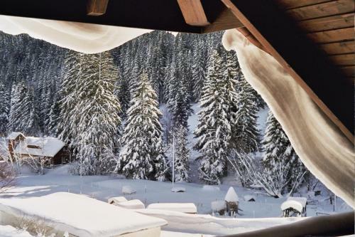 Hostal Hotel-pension Kr�utle
