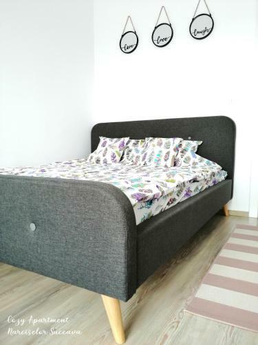 Cozy Apartment Narciselor Suceava