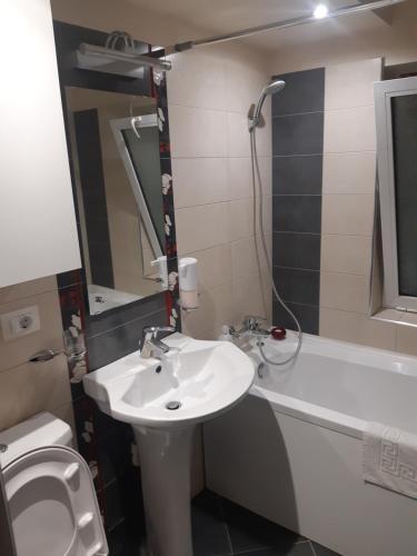 Apartament In Centrul Iasului (lapusneanu)