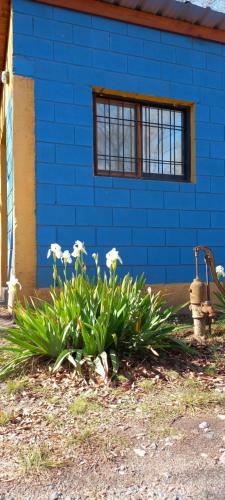 Apartamento Casita De Colores