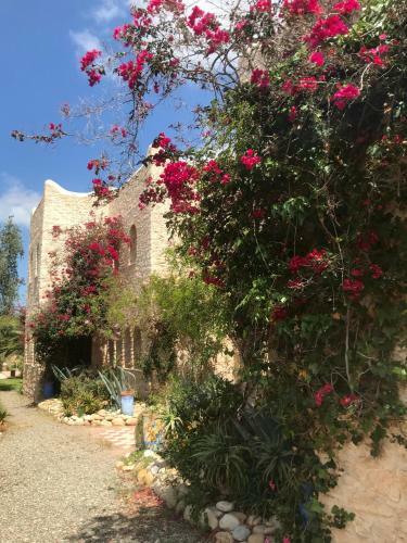 Les 3 Gazelles B&B