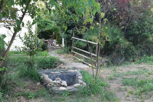 Maison Sur 2000m� D'espace Vert.