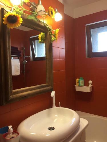 Apartament Dorina