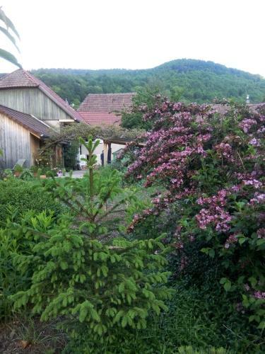 Bed & Breakfast Les Arts Verts