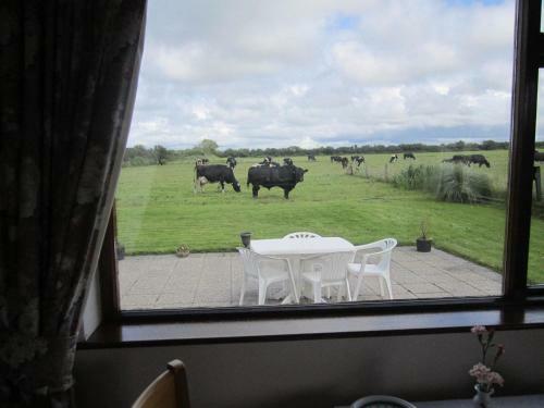 Agroturismo Greenfields Farmhouse