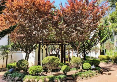 Apartamento Charmoso Junto Ao Centro De Gramado