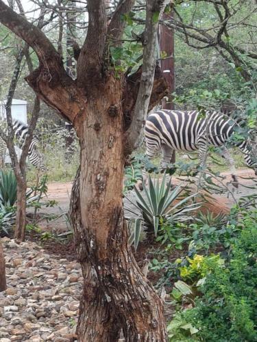 Apartamento Idle Days