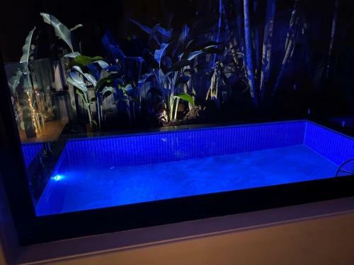 Berrima Luxe - Noosa Hill Home - Heated Spa Pool
