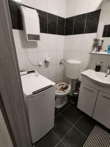 Apartman Centar Stubi?kih Toplica
