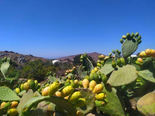 Almond Trees House