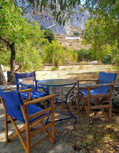 Almond Trees House