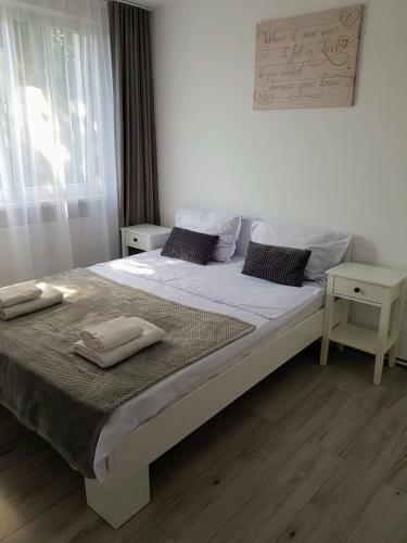 Alexa Apartament