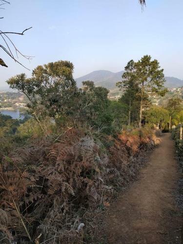 Chal� Pedal Lago Javary
