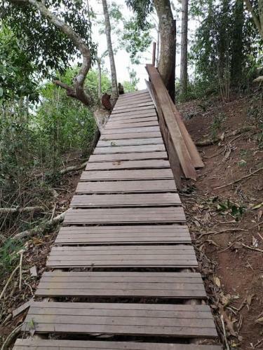 Chal� Pedal Lago Javary