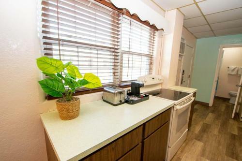 Apartamento Downtown Clearwater With Pool Parking And Golf