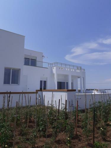 Villas Lago E Mare