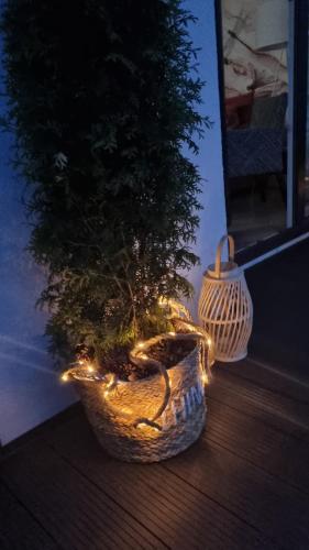 Apartament Royal Mielno Sosnowa 4