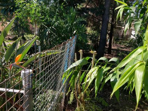Work From Country Side With Urban Amenities