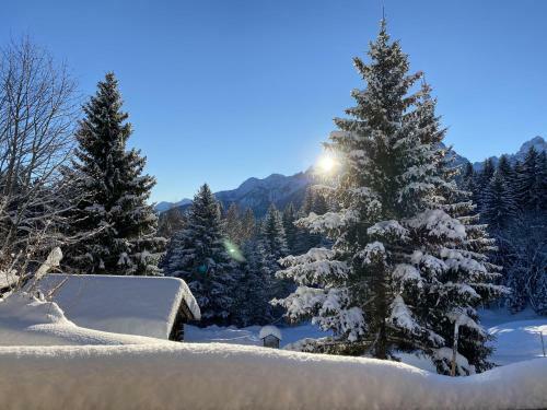 Apartamento Chalet Tschengla