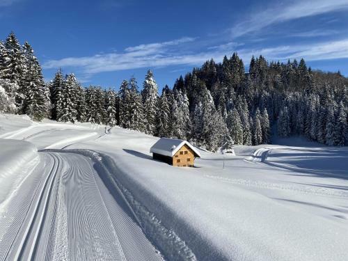 Apartamento Chalet Tschengla