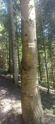 Go?ciniec Dziubasowki