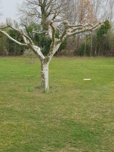 Bed & Breakfast Mas Clement - Chambre Et Table D'h�tes