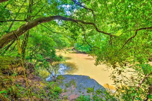 Riverside Dahlonega Home With Kayaks And Fire Pit