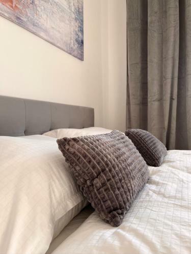 Apartament Wi?lana