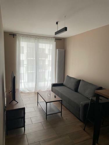 Apartament Serock