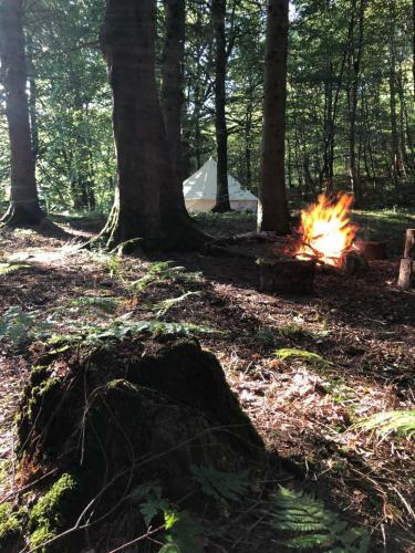 Broomholm Glamping