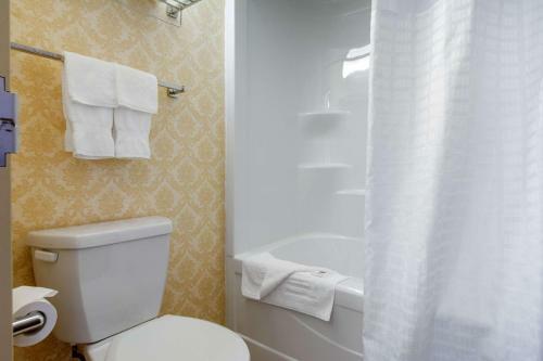 Hotel Comfort Inn & Suites Saint-nicolas