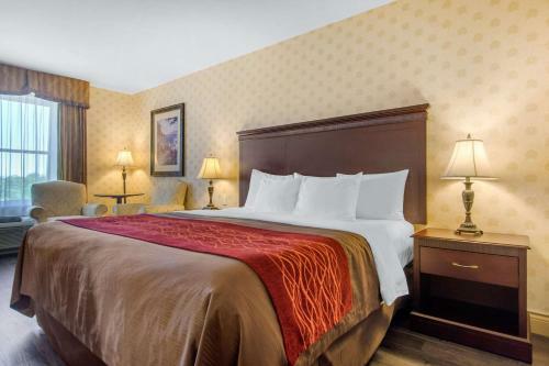 Hotel Comfort Inn & Suites Saint-nicolas