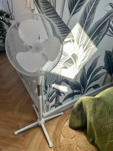 Apartamento Le Dijonnais :hyper Centre Historique/moderne/cosy
