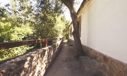 Apartamento Petit