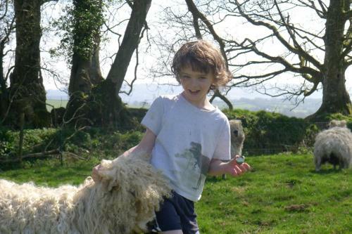 Tuell Farm Cottages
