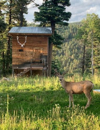 Mountain Top Retreat