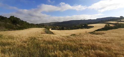 La Caseta De L'�liba