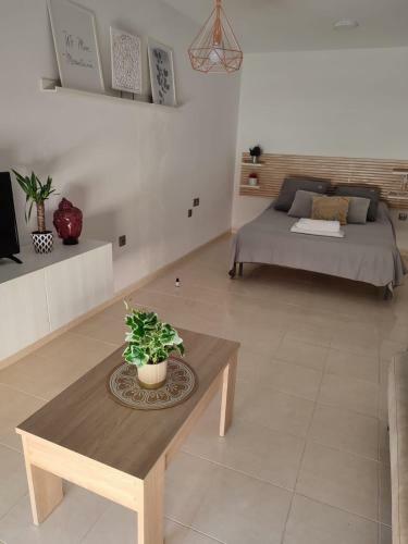 3 Mv Apart La Envia Golf