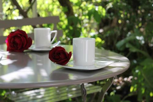 Apartamentos Une Pause A Signes
