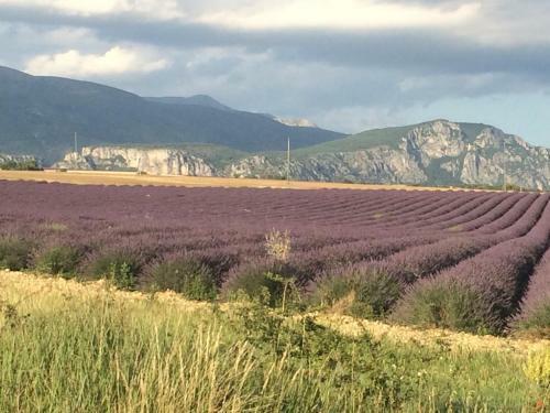 Bergerie De Charme � Moustiers