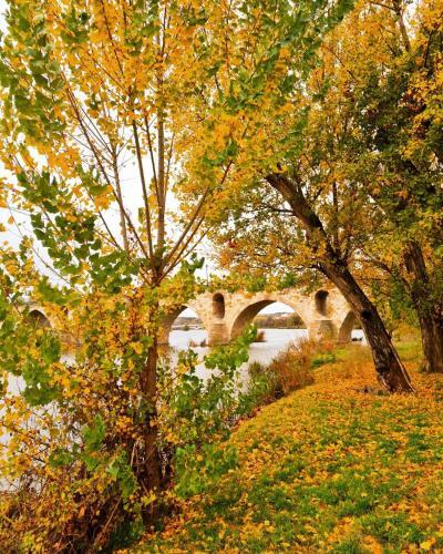 Apartamentos A Los Ojos Del R�o Duero