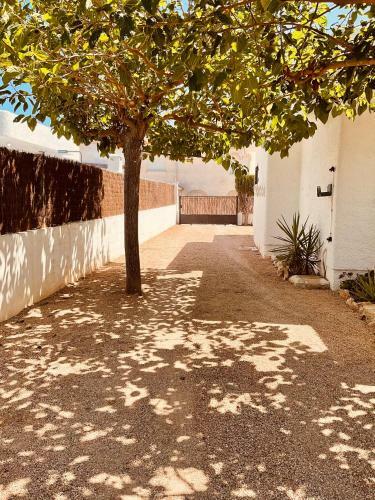 Casa Dario