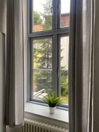 Apartamento Sunfe