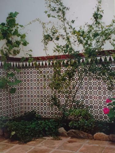 El Mejor Enclave Para La Mejor Casa.