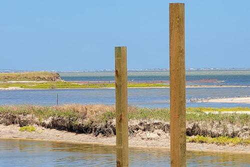 Flamingo Lagoon