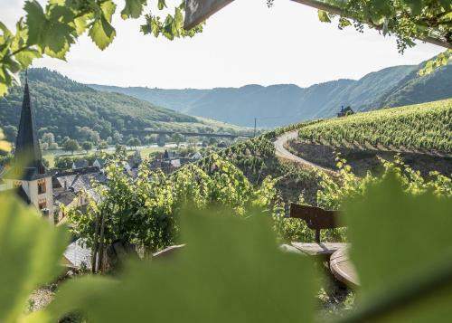 Apartamento Weinquartier Conzen