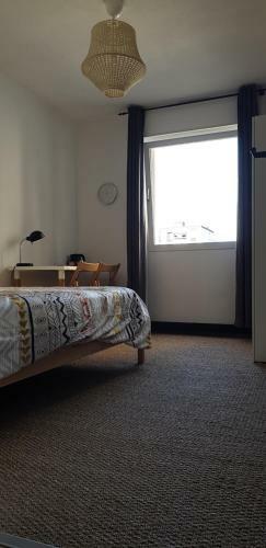 Chambre Proche Hypercentre - Metz
