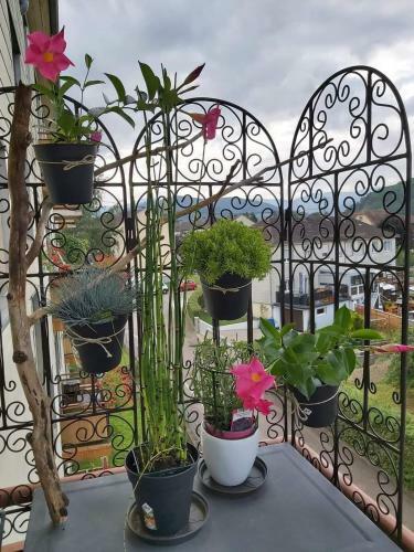 Apartamento Au Cigogneau