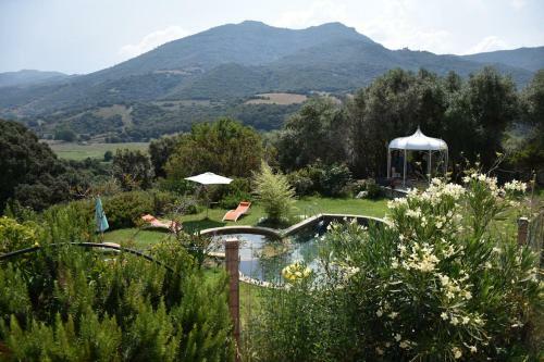 Bed & Breakfast U Pianarellu